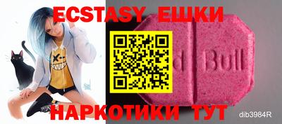 стаф Канаш