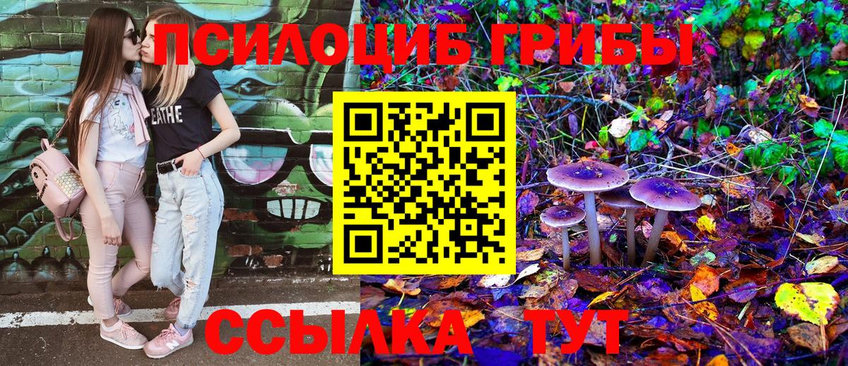 Псилоцибиновые грибы Psilocybine cubensis  Вход с VPN  Железногорск 